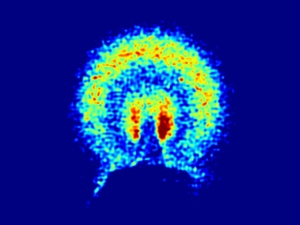 high energy electron